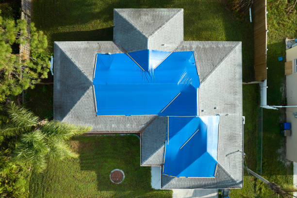 Best Emergency Roof Repair Services  in Holland, OH