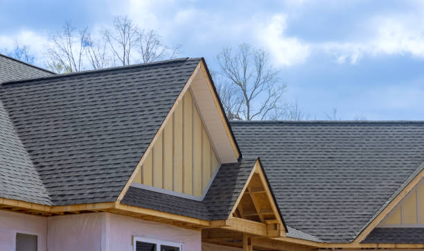 Best Roof Ventilation Installation  in Holland, OH