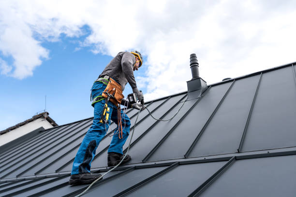 Best Roof Replacement  in Holland, OH